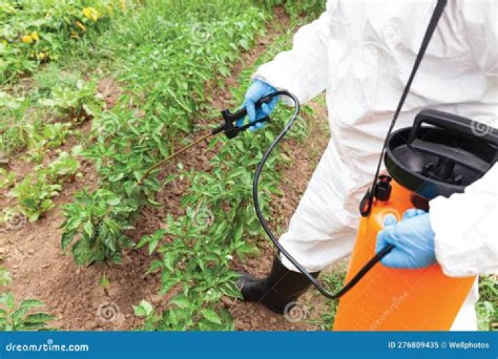 Are all weed killer toxic?