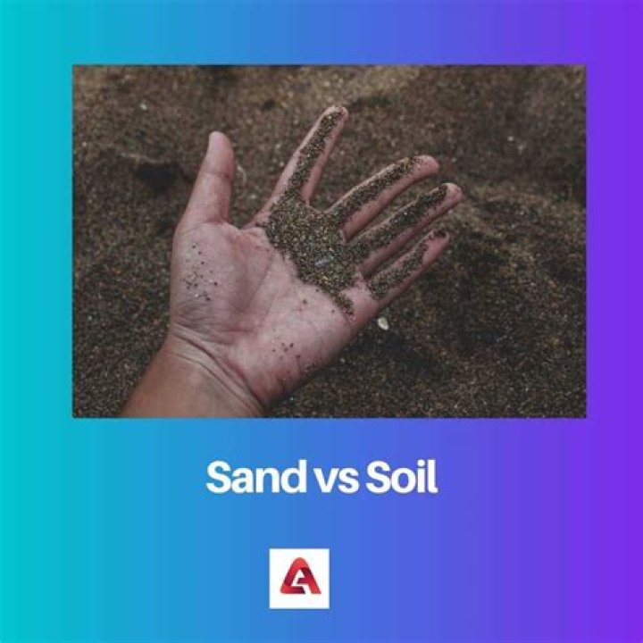 Are dirt and sand the same thing?