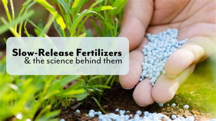 Are granular fertilizers slow release?