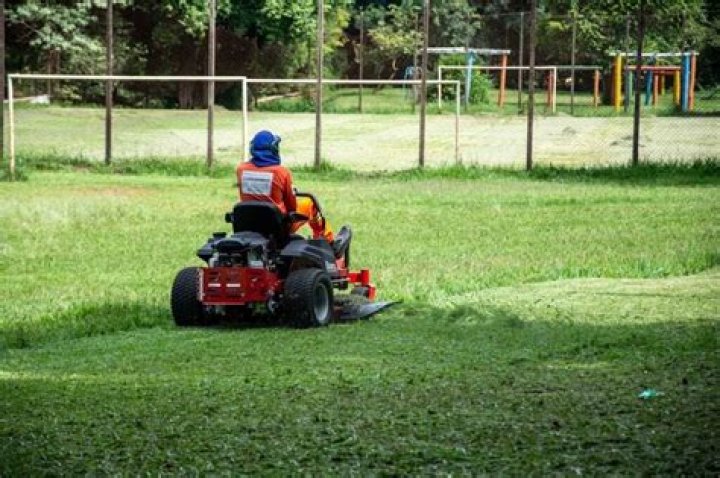 Are grass lawns bad for the environment?
