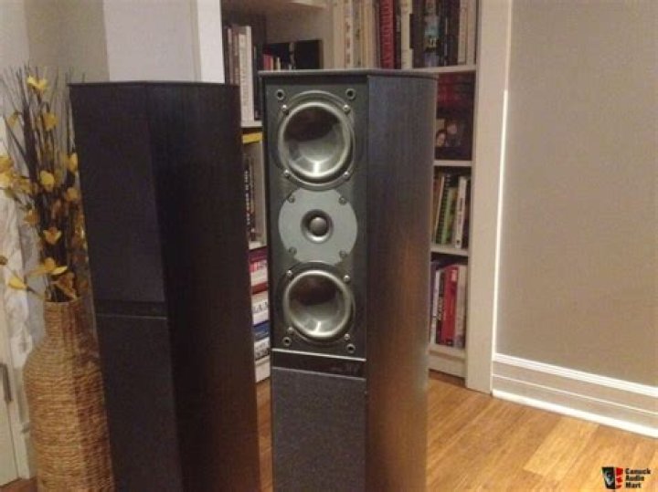 Are Jamo speakers high end?