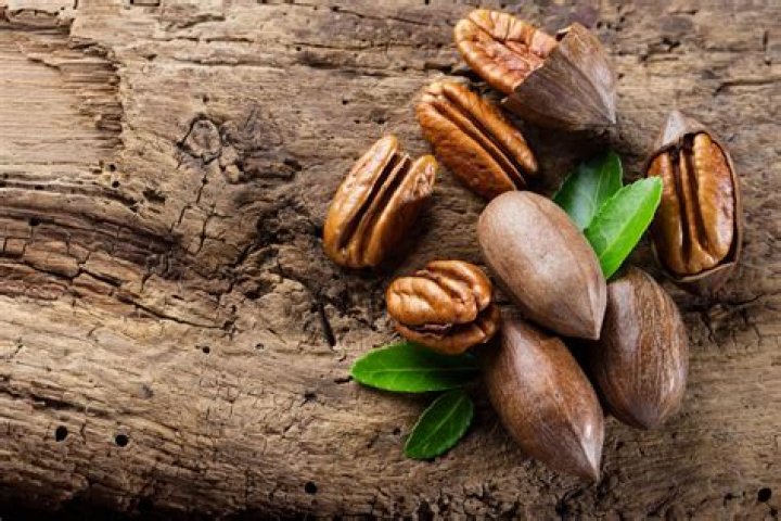 Are pecans grafted?
