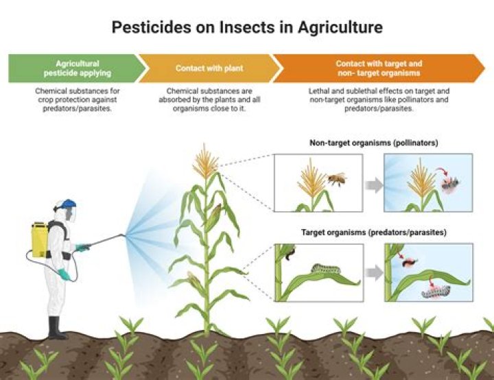 Are there any fungicides that will kill Pestalotiopsis?
