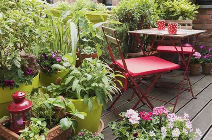 Are there any outdoor plants for a balcony?
