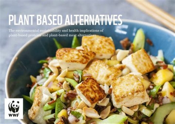 Are there any plant based alternatives to food?