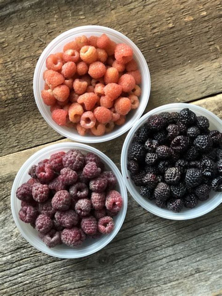 Are there different varieties of raspberries?