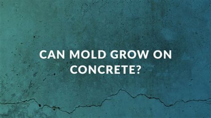 Can green mold grow on concrete?