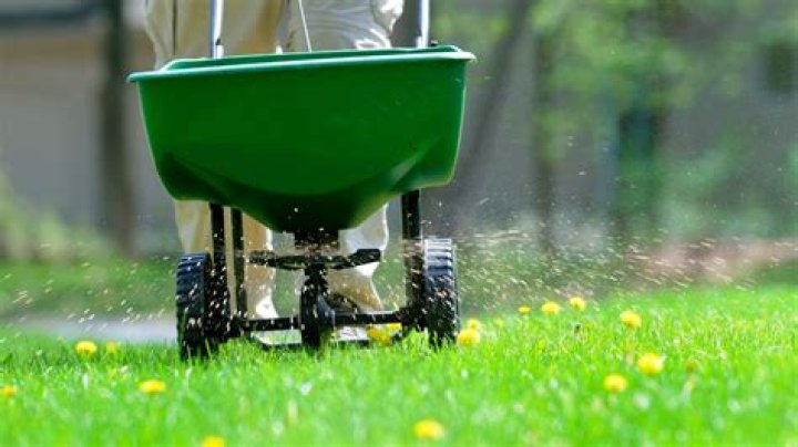 Can I apply fertilizer and grub control at the same time?