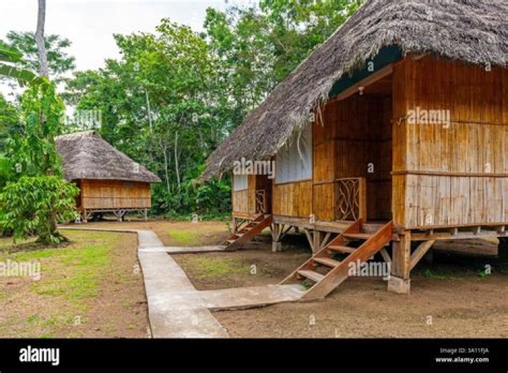 Can I build a house in the Amazon rainforest?