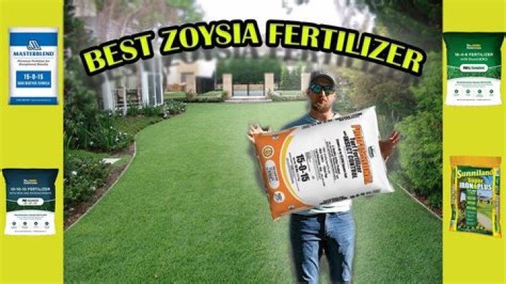 Can I fertilize St Augustine in October?