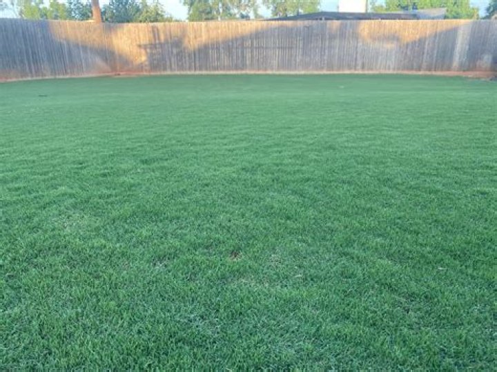 Can I overseed in January?