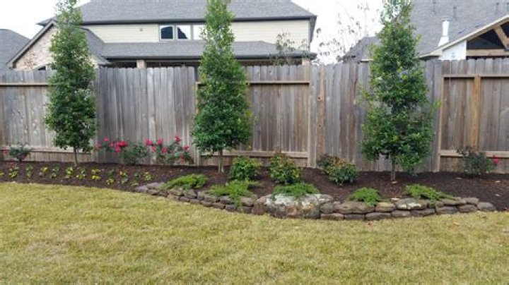 Can I plant trees along my neighbors fence?