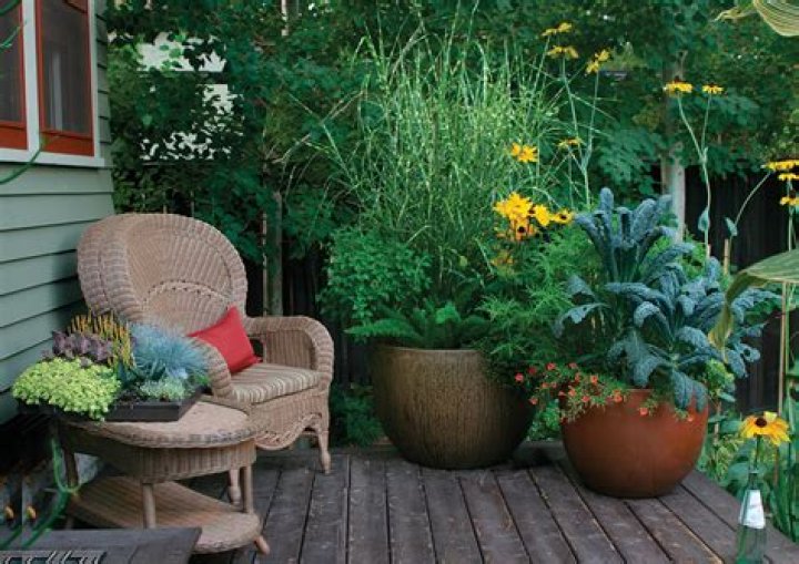 Can I put potted plants on my roof?