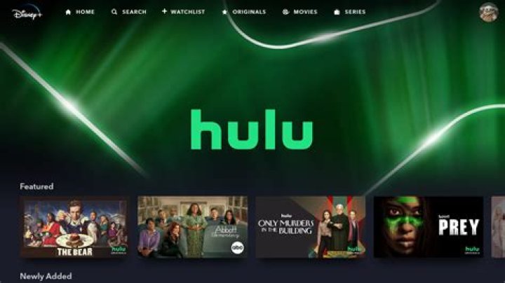 Can I stream Hulu through my Blu-ray?