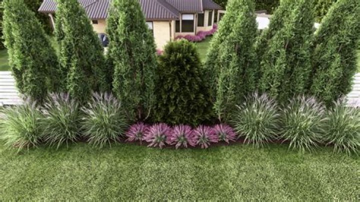 Can I trim my neighbors bushes in Florida?