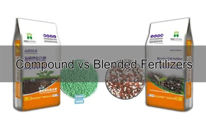Can I use root stimulator and fertilizer together?