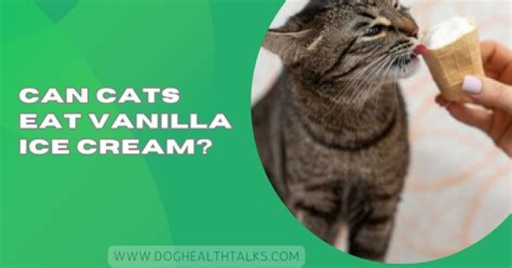 Can mice have vanilla ice cream?