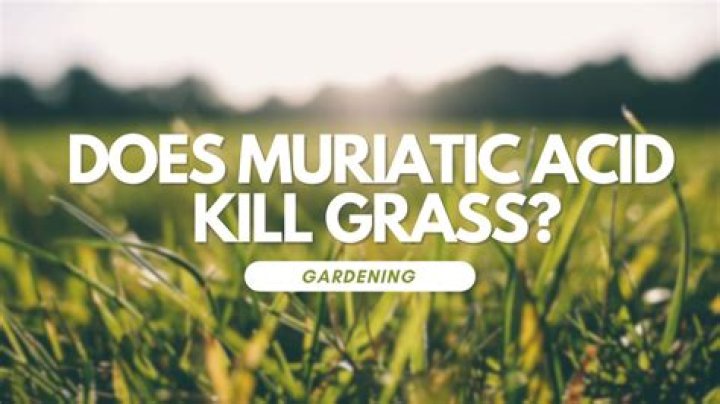 Can muriatic acid damage grass?