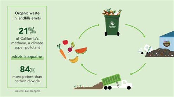 Can plants grow on landfills?