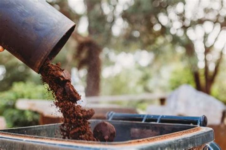 Can unused coffee grounds be used in the garden?