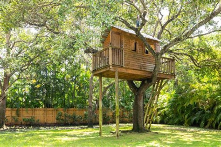 Can you build a treehouse in Los Angeles?