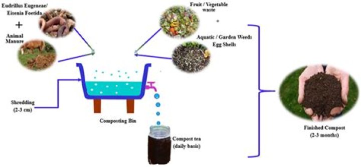 Can you compost on top of sand?