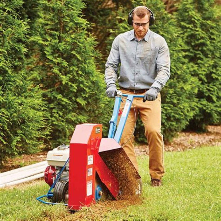 Can you dig out bent grass?