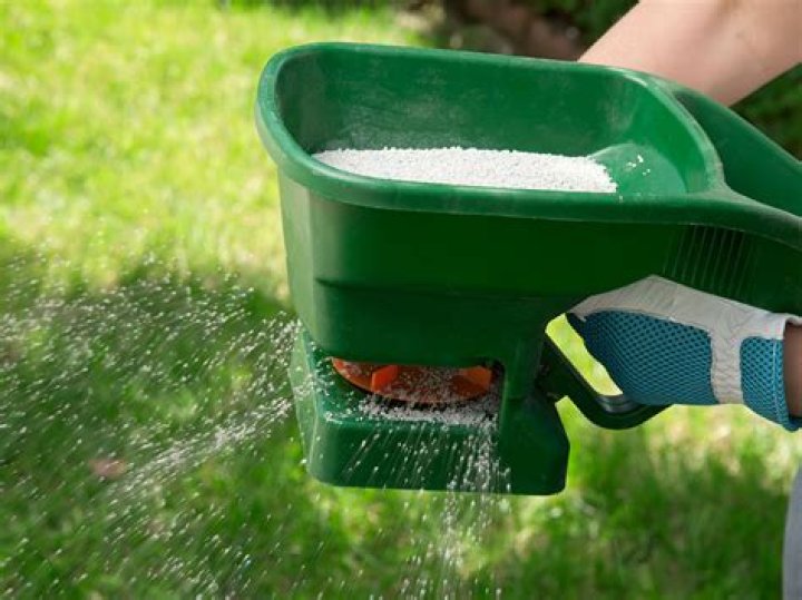 Can you fertilize in late July?