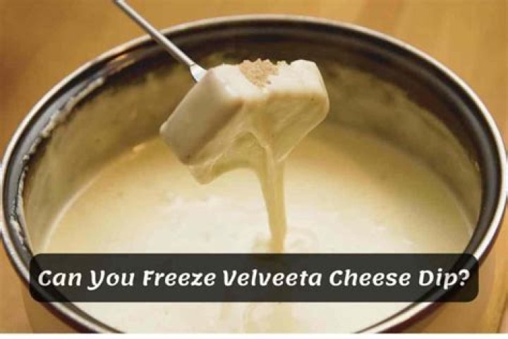 Can you freeze dip made with Velveeta cheese?