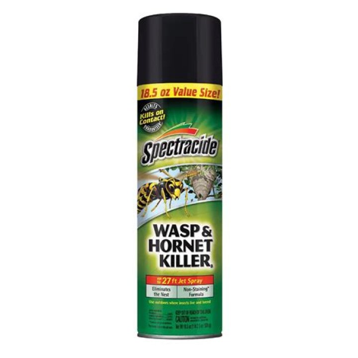 Can you kill cicada killers with wasp spray?