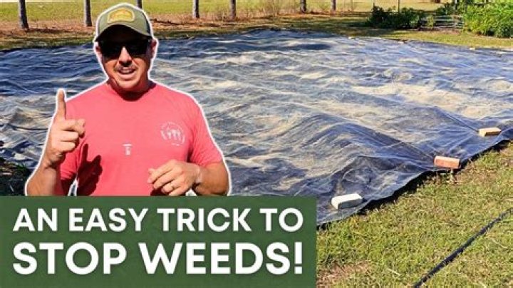 Can you kill grass by covering it with plastic?