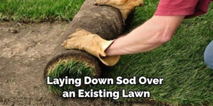 Can you lay sod over existing sod?