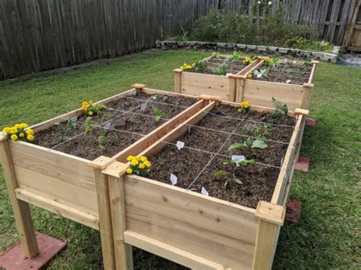 Can you make raised vegetable beds?