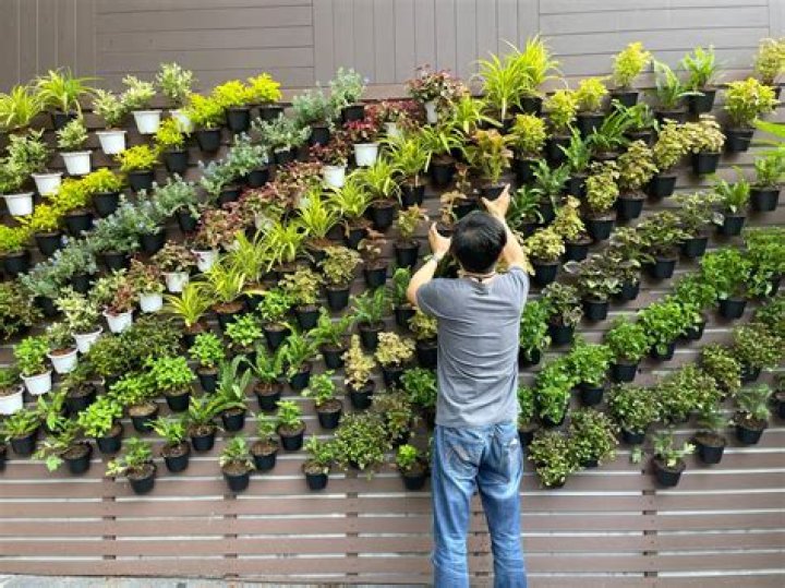 Can you plant a garden in a rental?