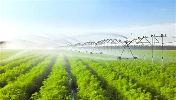 Can you put sprinklers over a leach field?