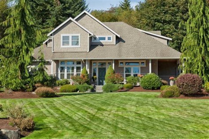 Can you put too much gypsum on lawn?