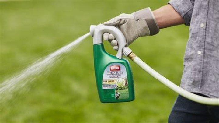 Can you put weed killer on grass?