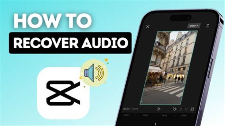 Can you recover audio from screen?
