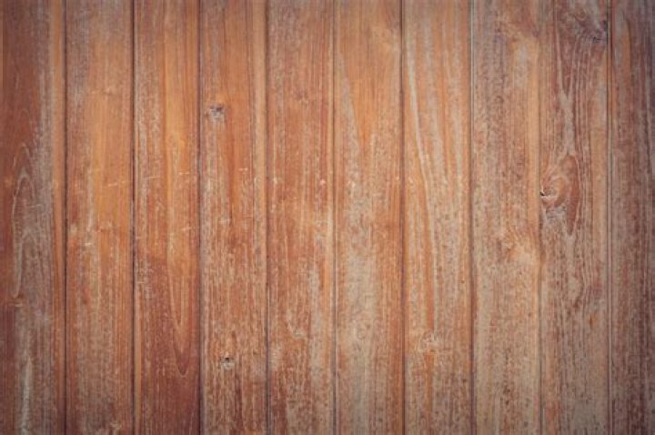 Can you save a pine tree that is turning brown?