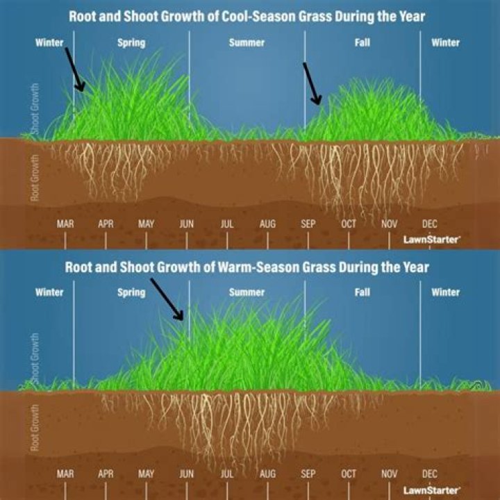 Can you sow grass seed in March?