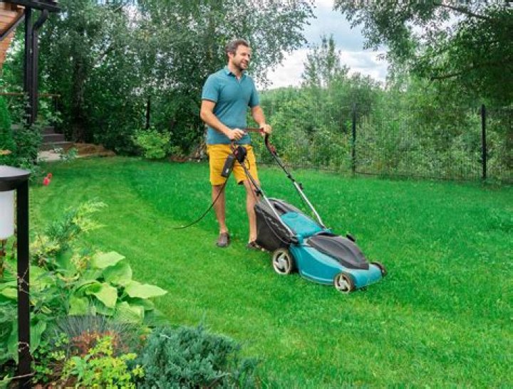 Can you spray Epsom salt on your lawn?