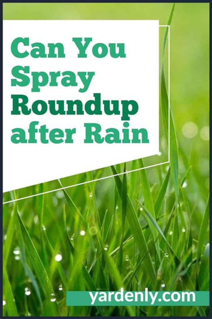 Can you spray Roundup on your garden before planting?