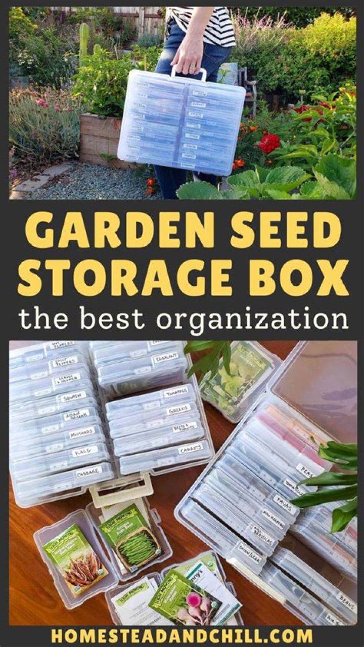 Can you store garden seeds in the freezer?