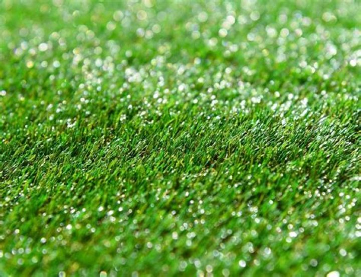Can you use artificial grass cleats on real grass?