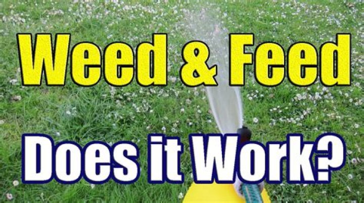 Can you use weed and feed in the winter?