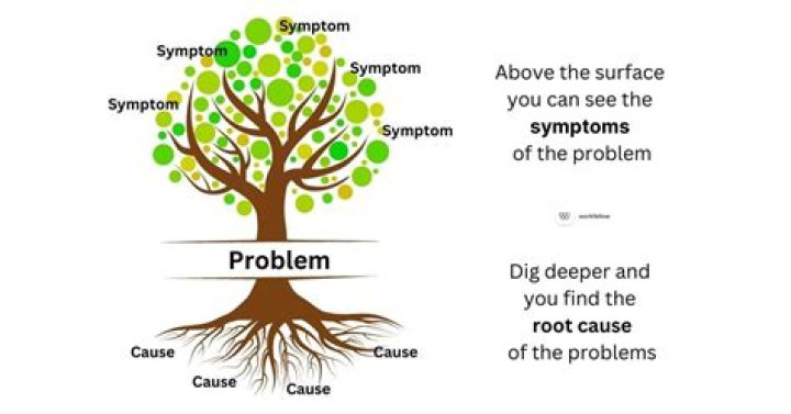 Do birch tree roots cause problems?