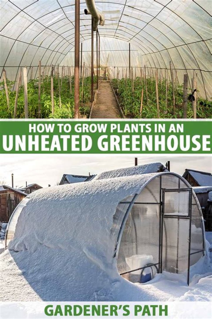 Do green houses hold heat?