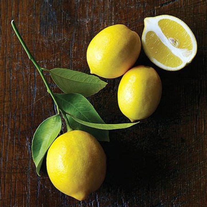 Do Meyer lemon trees produce fruit year round?