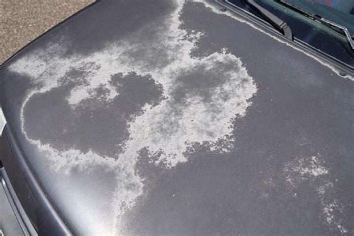 Do milkshakes damage car paint?