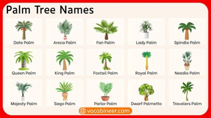 Do palm trees bleed?